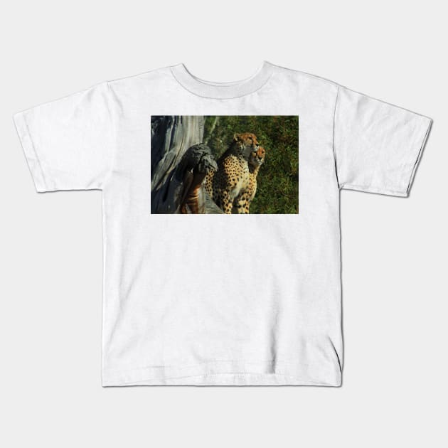 Pair of Cheaters at the zoo Kids T-Shirt by Andyt